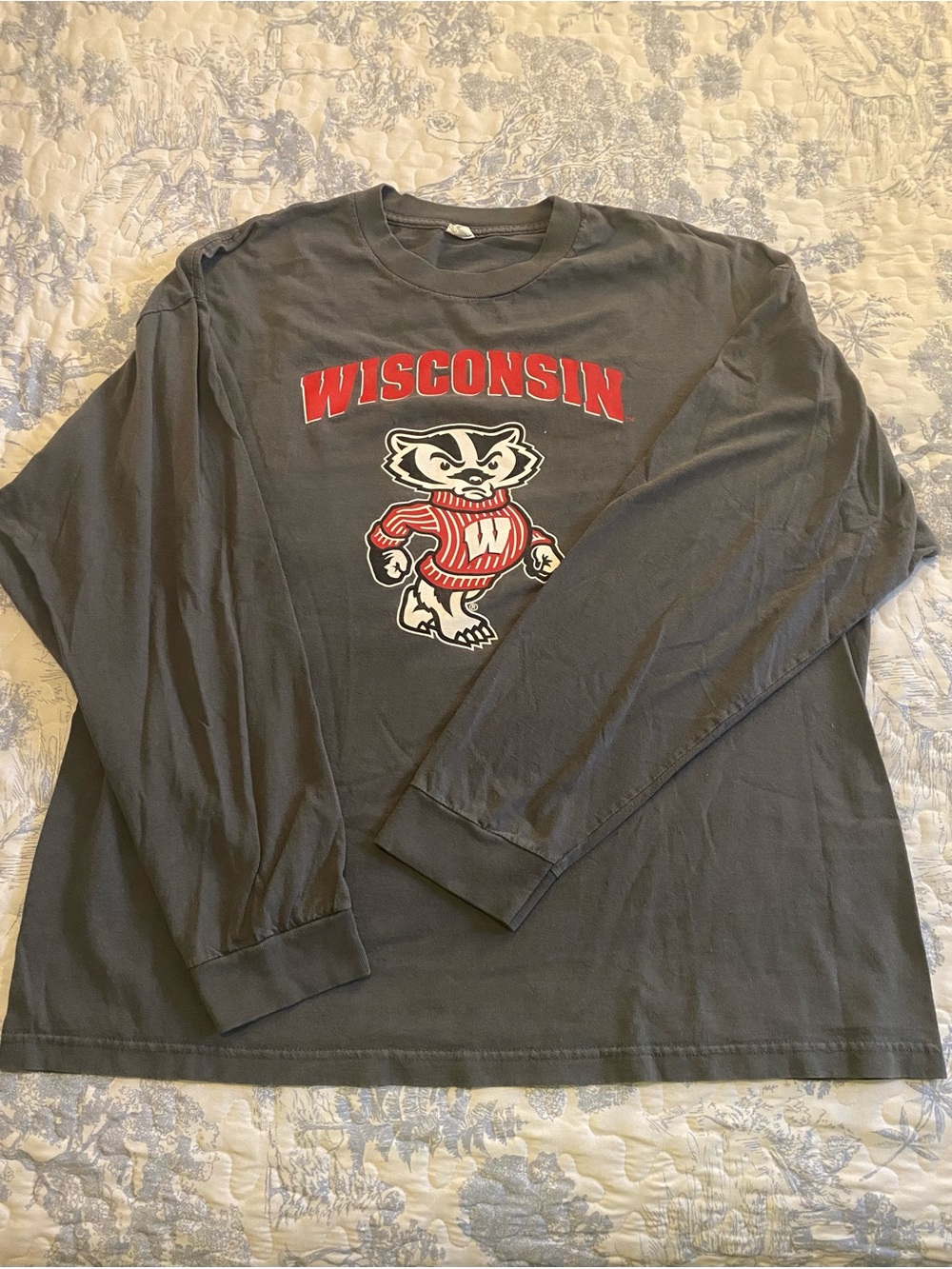 Wisconsin Grey Long-Sleeve Graphic Tee - Red Logo
